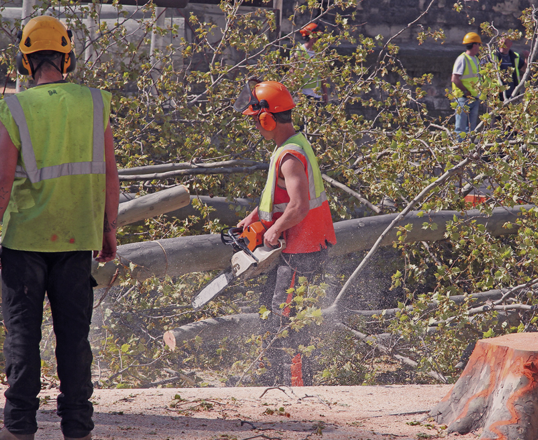 Responsabilité extracontractuelle d’un exploitant forestier à l’égard des ayant-droits d’une victime lors de l’abattage d’un arbre et de sa chute sur un stagiaire